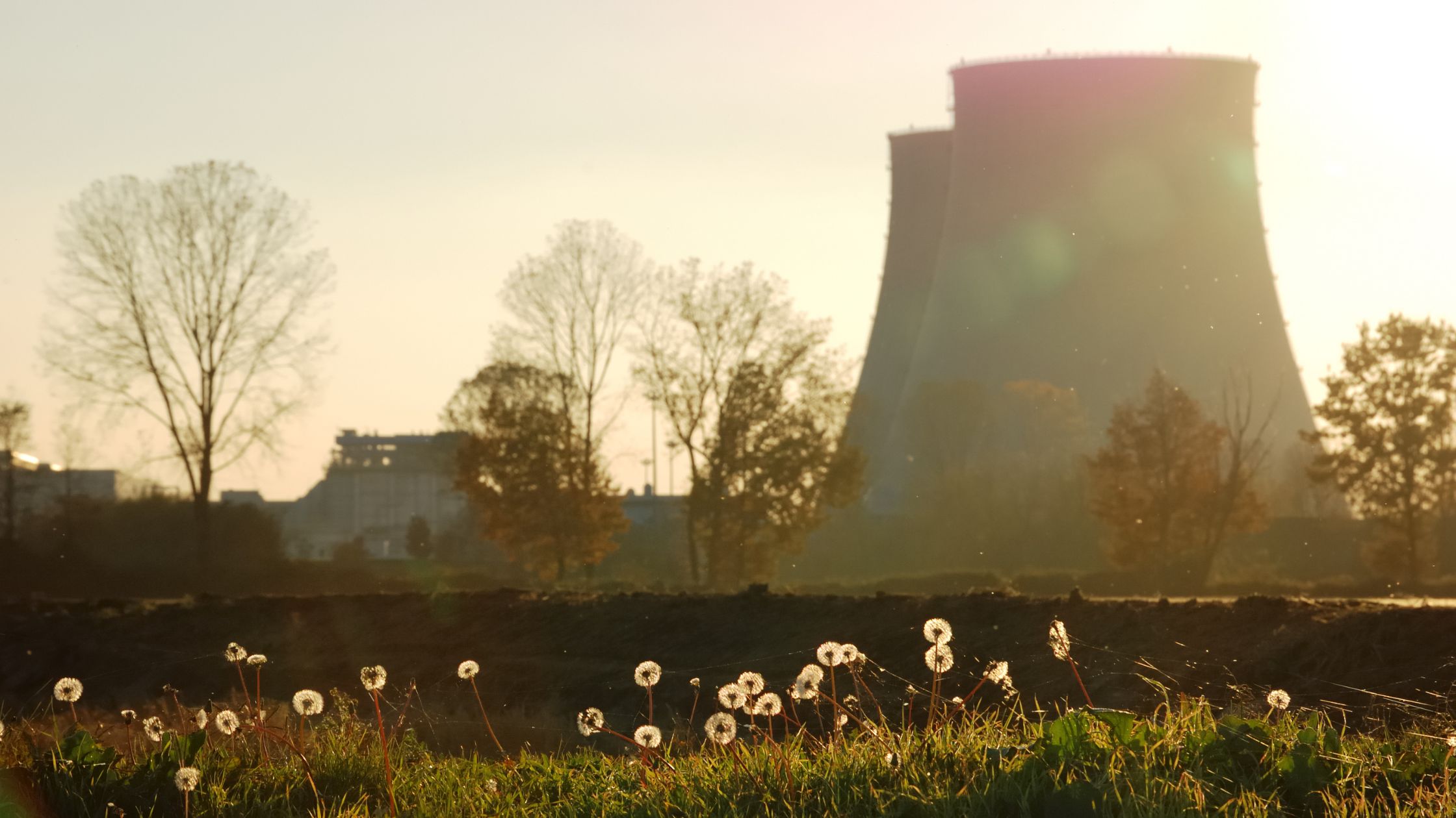 How to Protect Yourself from Environmental Radiation Colbo